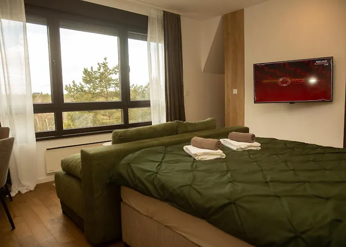 公寓 Bella The Petica Divčibare