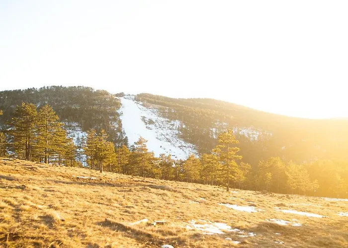 Apartment Bella The Petica Divčibare