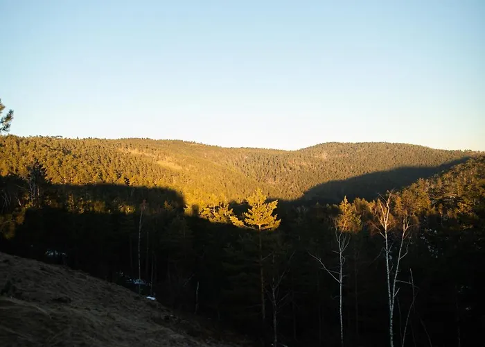 Bella The Petica * Divčibare